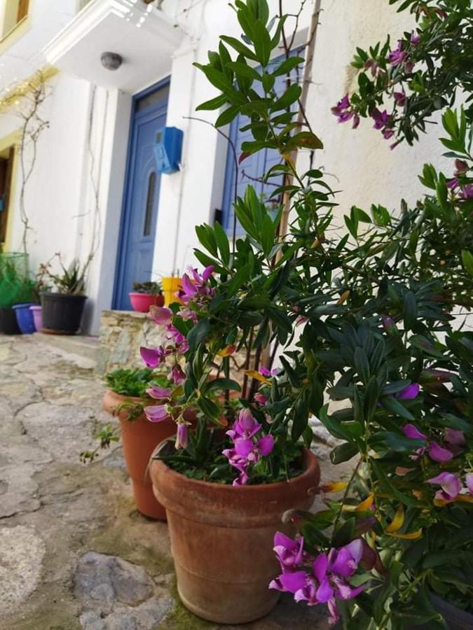 Kastro House Villa Skopelos Town Bagian luar foto